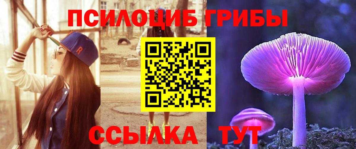 Вятские Поляны  Галлюциногенные грибы Psilocybine cubensis  Вход с VPN 