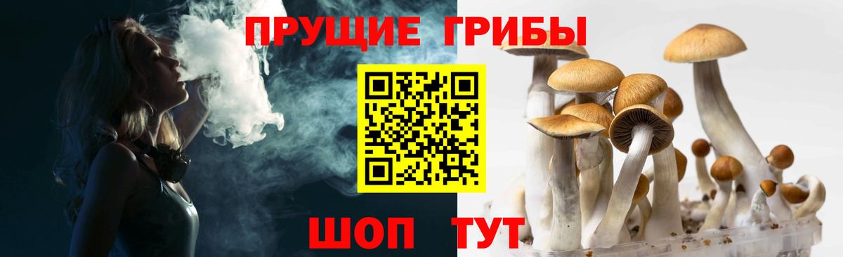Псилоцибиновые грибы прущие грибы Вятские Поляны